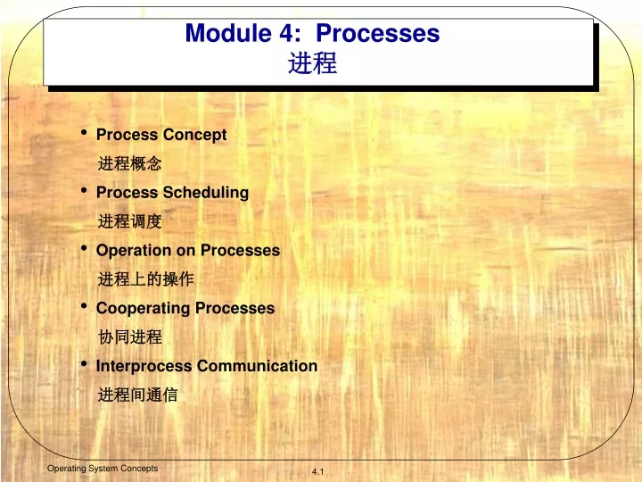 module 4 processes