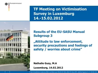 TF Meeting on Victimisation Survey in Luxemburg		 14.-15.02.2012