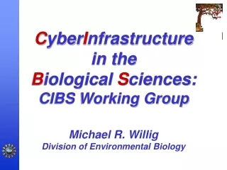 C yber I nfrastructure in the  B iological  S ciences:   CIBS Working Group Michael R. Willig