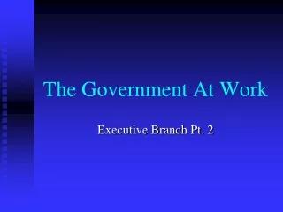 The Government At Work
