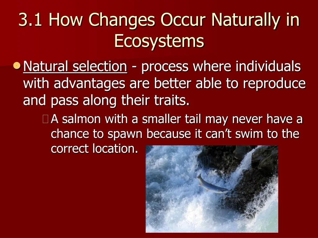 PPT - Natural Changes in Ecosystems and Evolution Examples PowerPoint ...