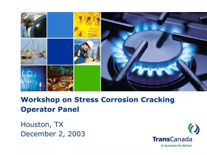 workshop on stress corrosion cracking operator panel