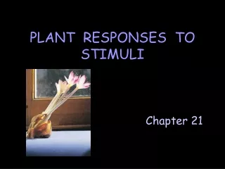 PLANT  RESPONSES  TO STIMULI