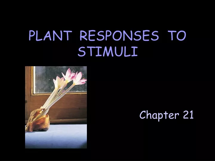 plant responses to stimuli