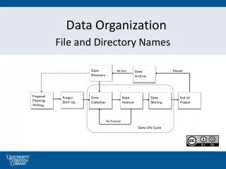 Data Organization