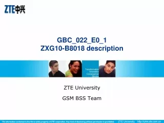 GBC_022_E0_1 ZXG10-B8018 description