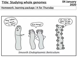 Title: Studying whole genomes