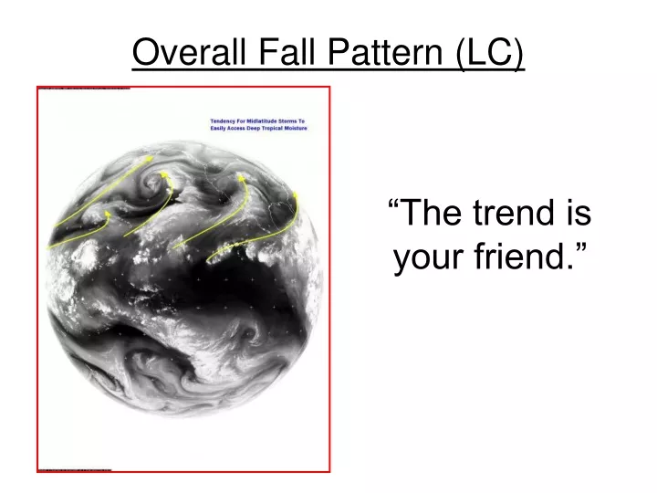 overall fall pattern lc