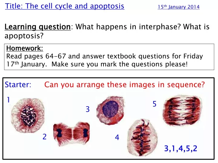 title the cell cycle and apoptosis 15 th january