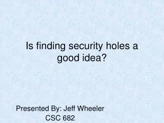 Is finding security holes a good idea?