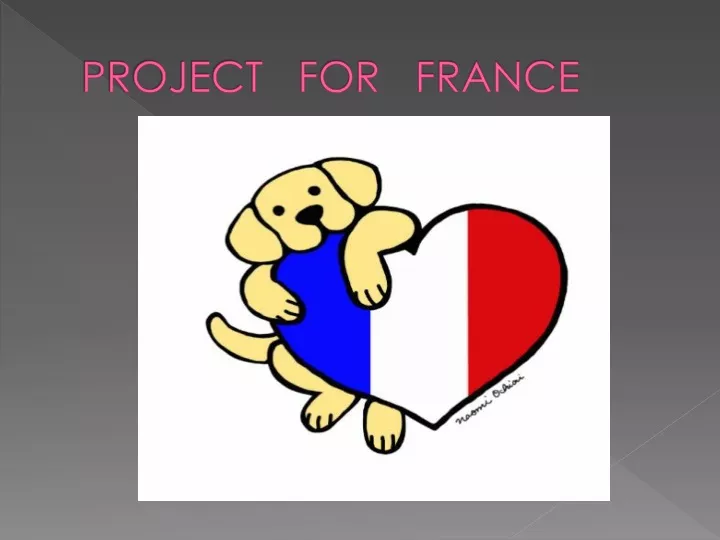 project for france