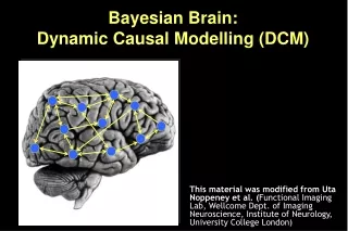 Bayesian Brain:  Dynamic Causal Modelling (DCM)