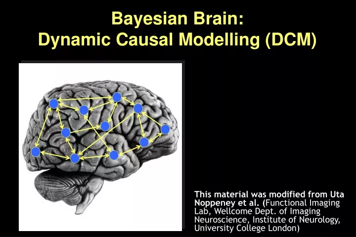 bayesian brain dynamic causal modelling dcm