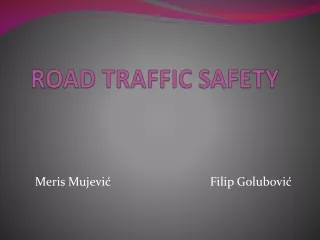 ROAD TRAFFIC SAFETY