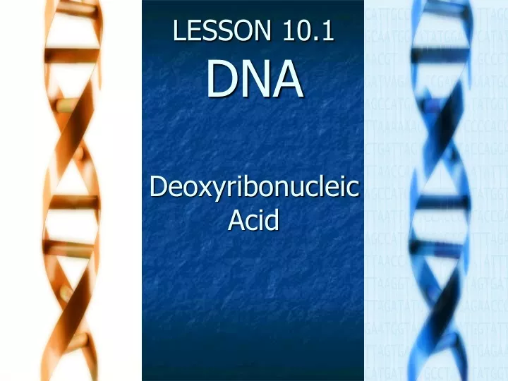 lesson 10 1 dna deoxyribonucleic acid
