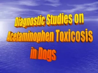 Diagnostic Studies on  Acetaminophen Toxicosis  in Dogs