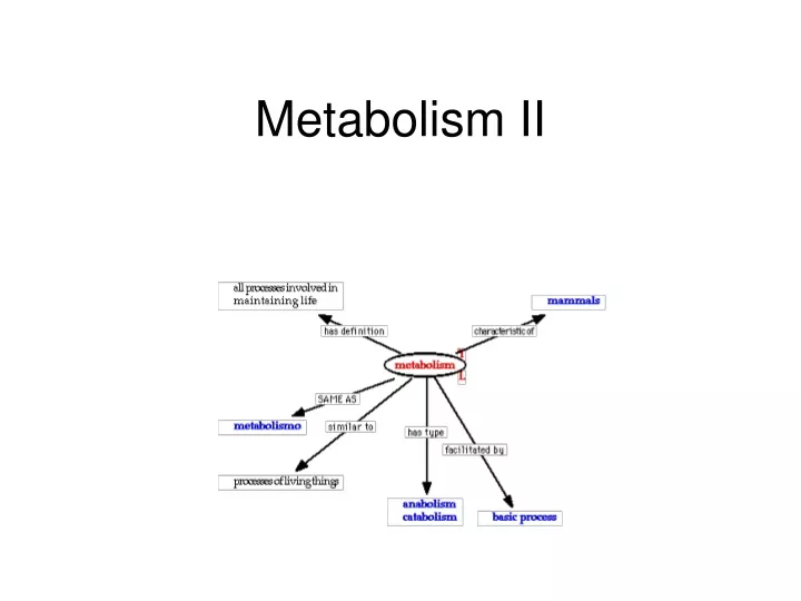 metabolism ii