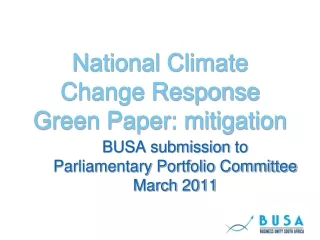 National Climate Change Response Green Paper: mitigation