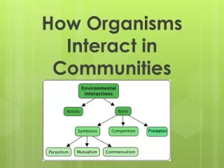 How Organisms Interact in Communities