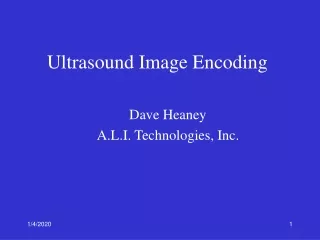 Ultrasound Image Encoding