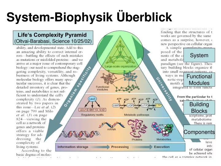 system biophysik berblick