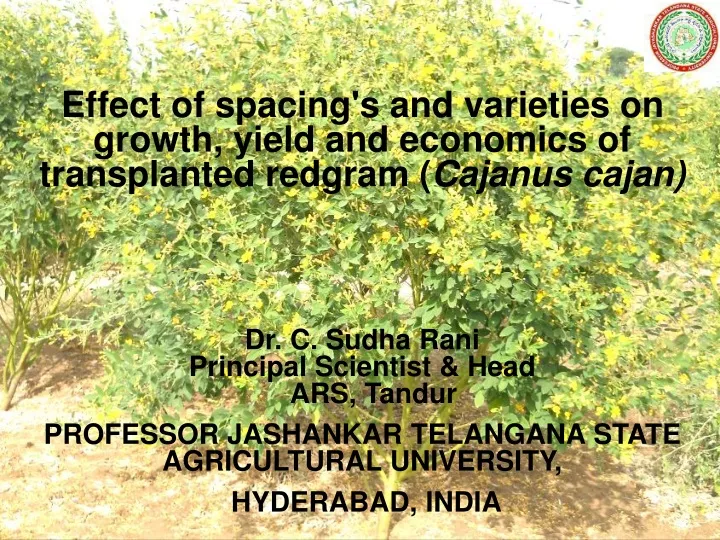 effect of spacing s and varieties on growth yield
