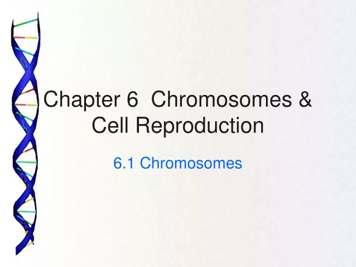 chapter 6 chromosomes cell reproduction