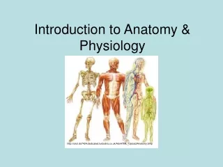 Introduction to Anatomy &amp; Physiology