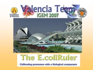 Introduction Comparator E.coliRuler in silico  work lab work Further applications Conclusions