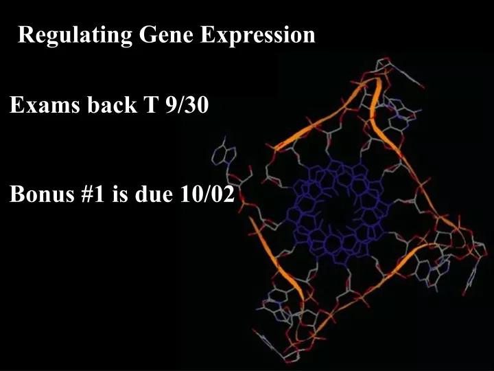 regulating gene expression
