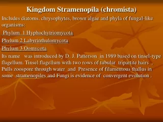 Kingdom Stramenopila (chromista)