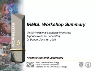 IRMIS: Workshop Summary
