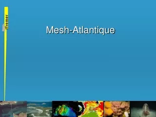 Mesh-Atlantique