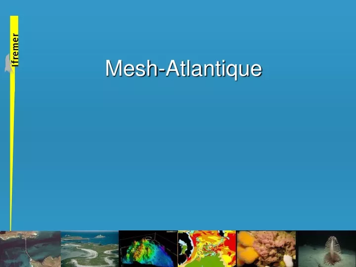 mesh atlantique