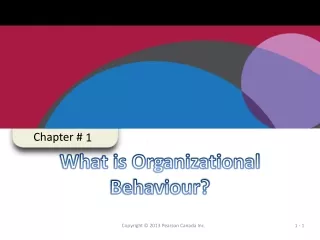 What is Organizational Behaviour?