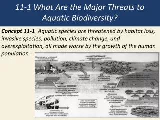 11-1 What Are the Major Threats to Aquatic Biodiversity?