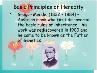 Basic Principles of Heredity