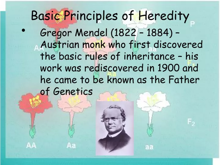 basic principles of heredity