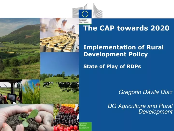 the cap towards 2020 implementation of rural development policy state of play of rdps