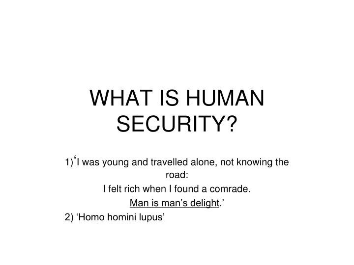 what is human security