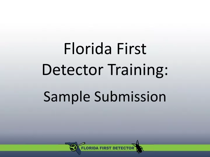 florida first detector training