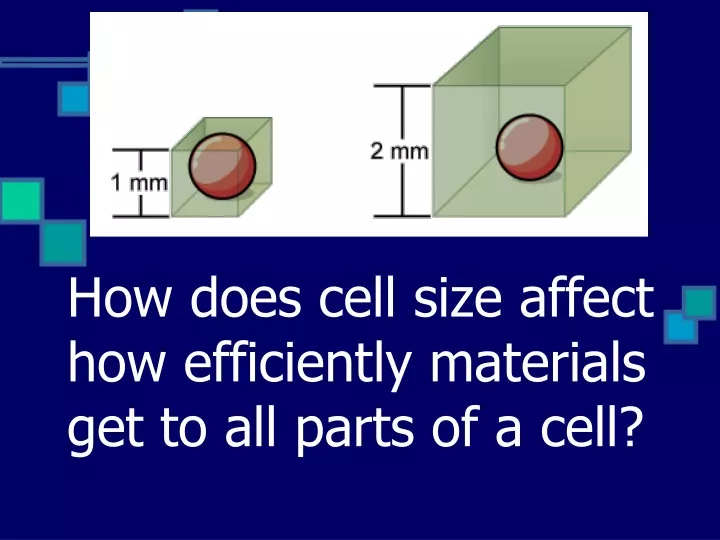 how does cell size affect how efficiently materials get to all parts of a cell