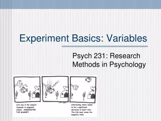 Experiment Basics: Variables