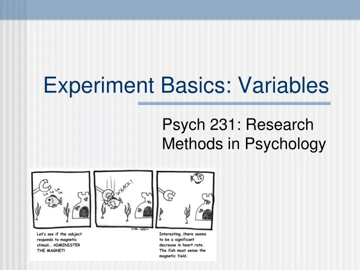 experiment basics variables