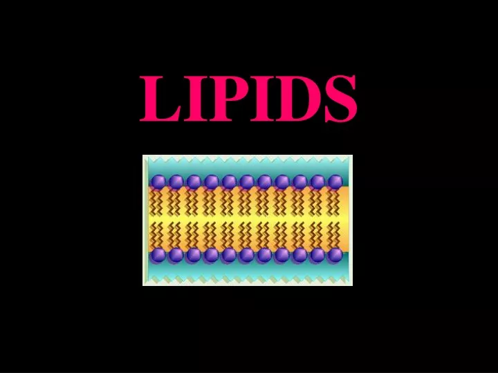 lipids