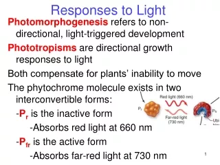 Responses to Light