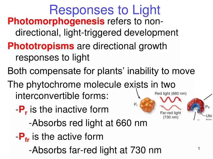 responses to light