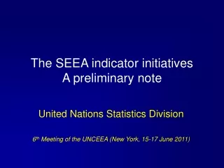 The SEEA indicator initiatives  A preliminary note