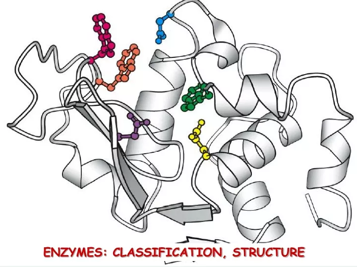 enzymes classification structure