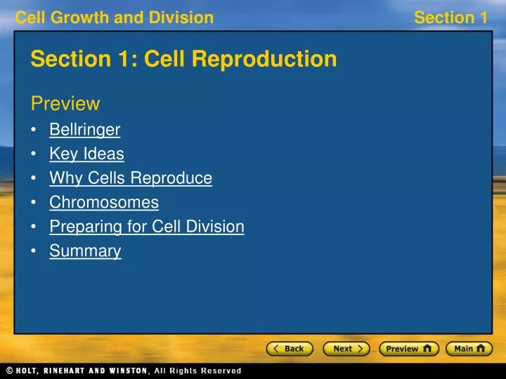 section 1 cell reproduction